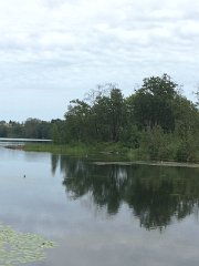 2016-08-16 11.50.25 HDR